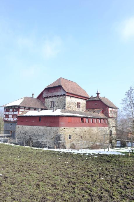 Machbarkeitsstudie Schloss Hagenwil, 2017